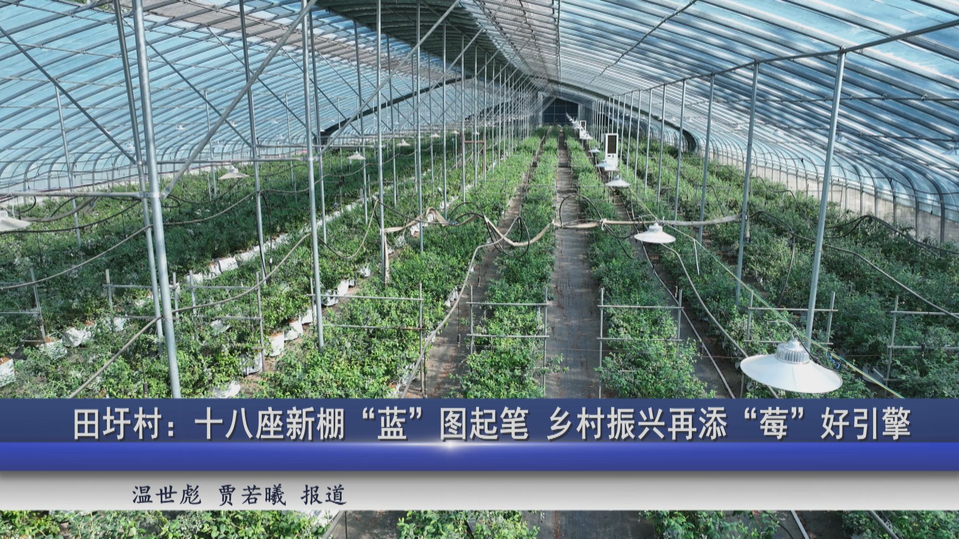 2026年01月08日新聞